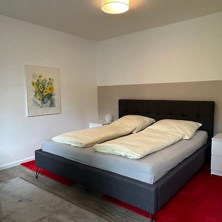 Am Kleinen Muehlenteich - Zentrale Ruhige Lage Mit Parkplatz Und Fahrraedern Apartment Flensburg Exterior foto