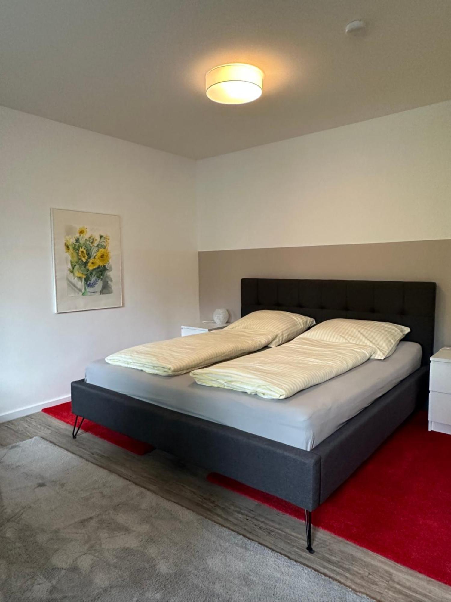 Am Kleinen Muehlenteich - Zentrale Ruhige Lage Mit Parkplatz Und Fahrraedern Apartment Flensburg Exterior foto